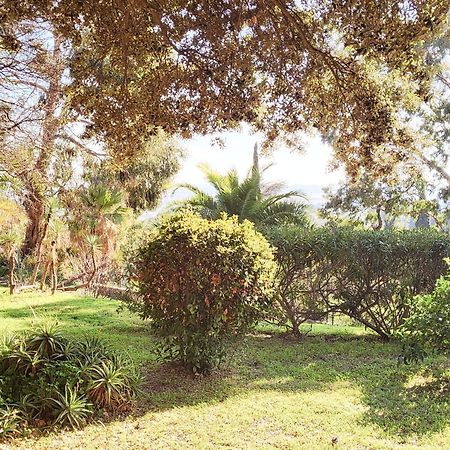 La Suite Costabella A Hyeres-Les-Palmiers Екстер'єр фото