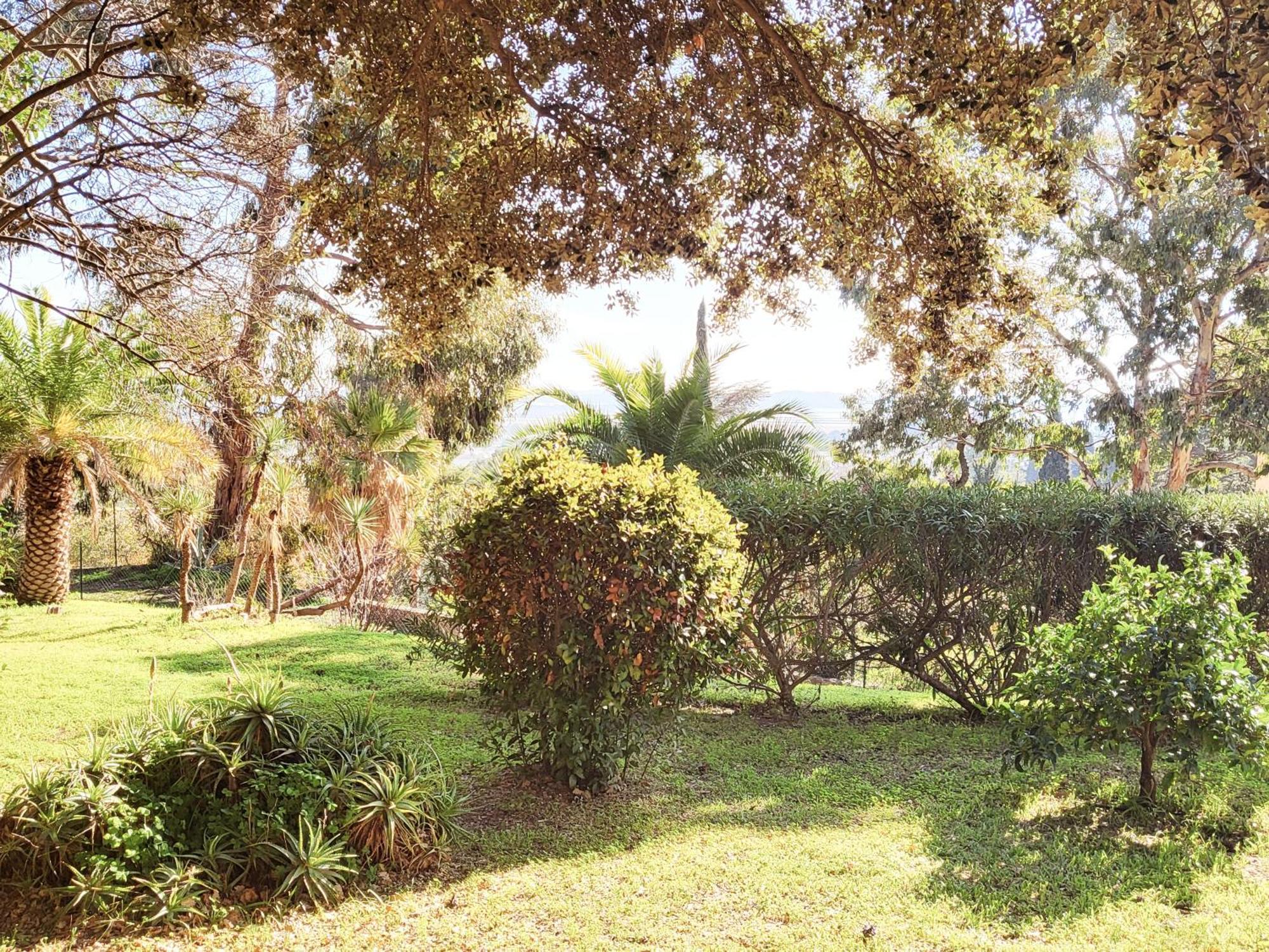 La Suite Costabella A Hyeres-Les-Palmiers Екстер'єр фото